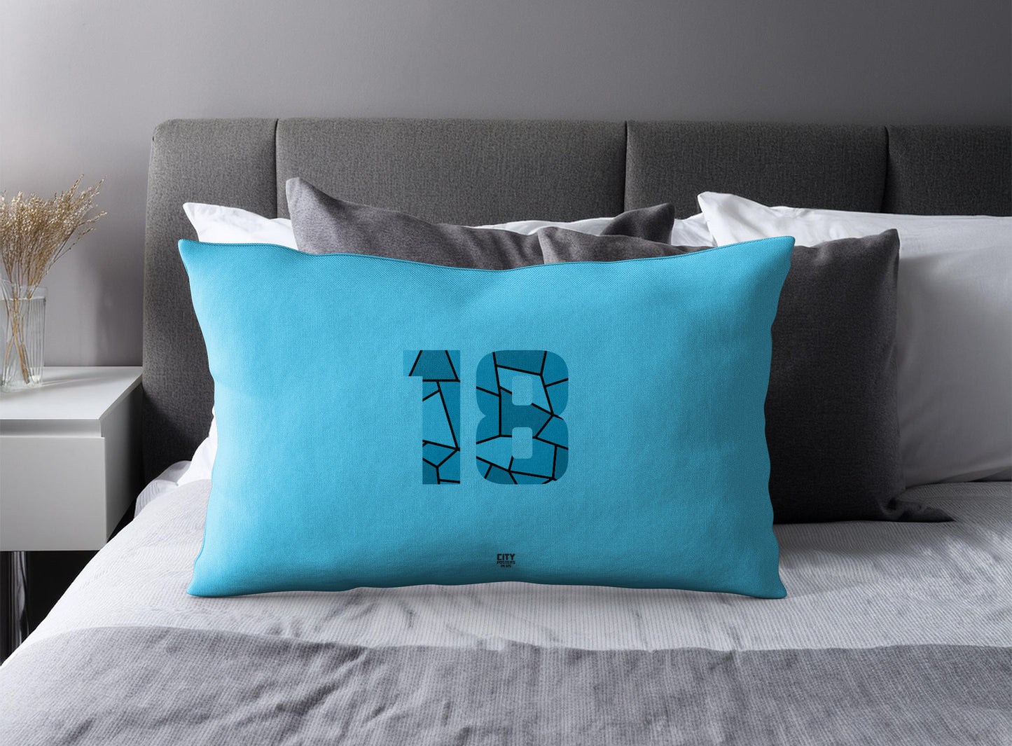 Print Deliver Plus 18 Number Pillow Case and Pillow Throw (Sky Blue)