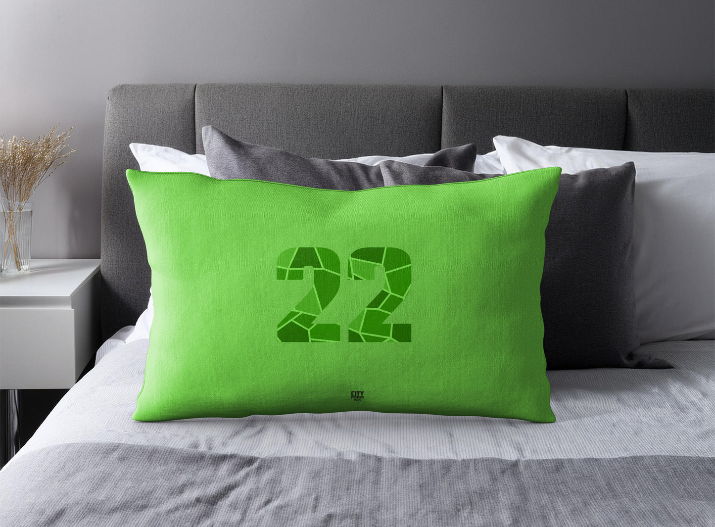 Print Deliver Plus 22 Number Pillow Case and Pillow Throw (Liril Green)