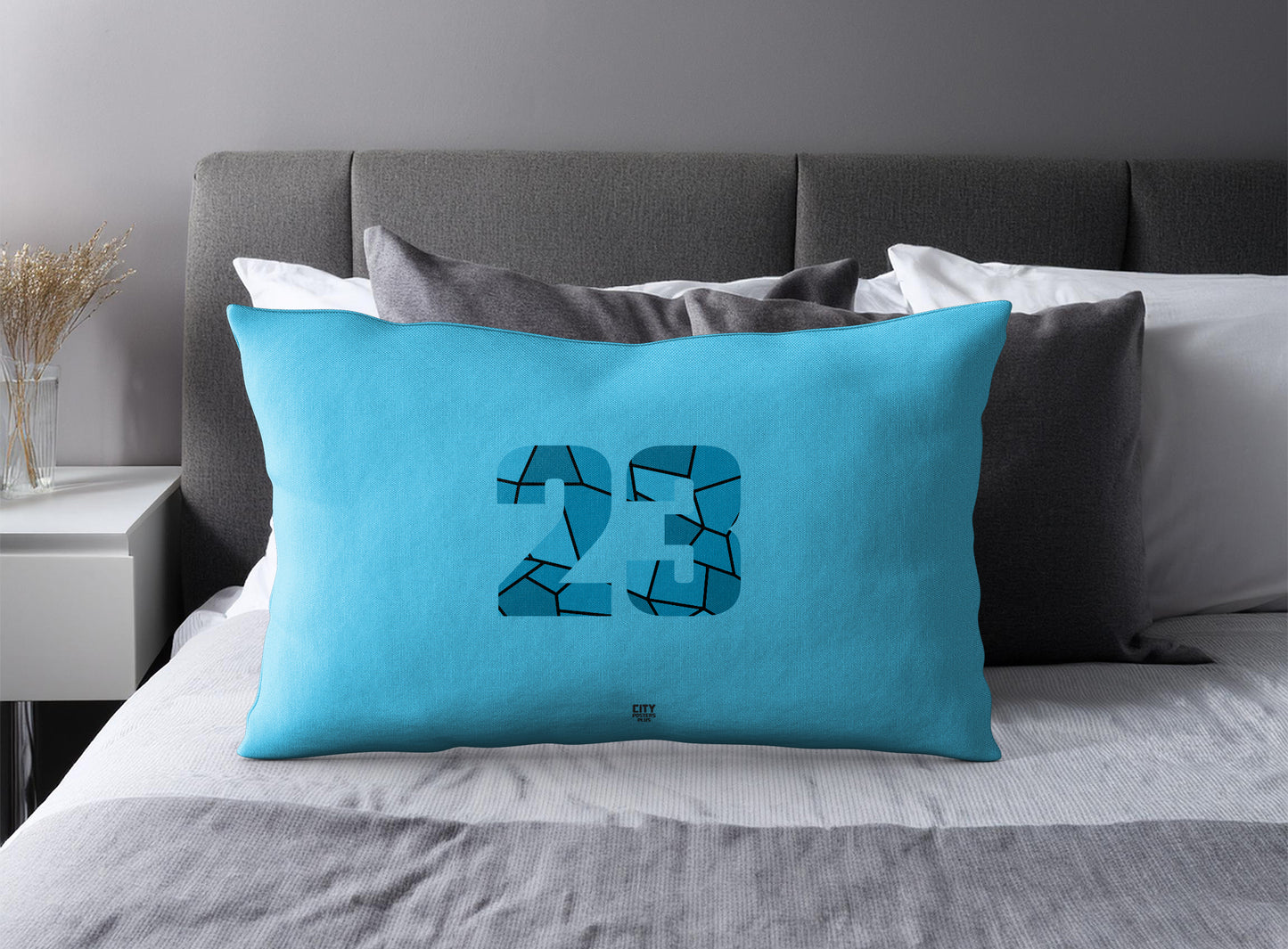 Print Deliver Plus 23 Number Pillow Case and Pillow Throw (Sky Blue)