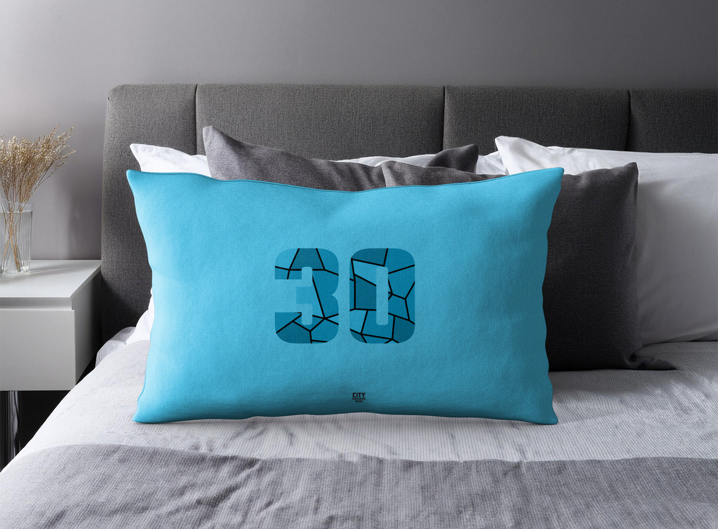 Print Deliver Plus 30 Number Pillow Case and Pillow Throw (Sky Blue)