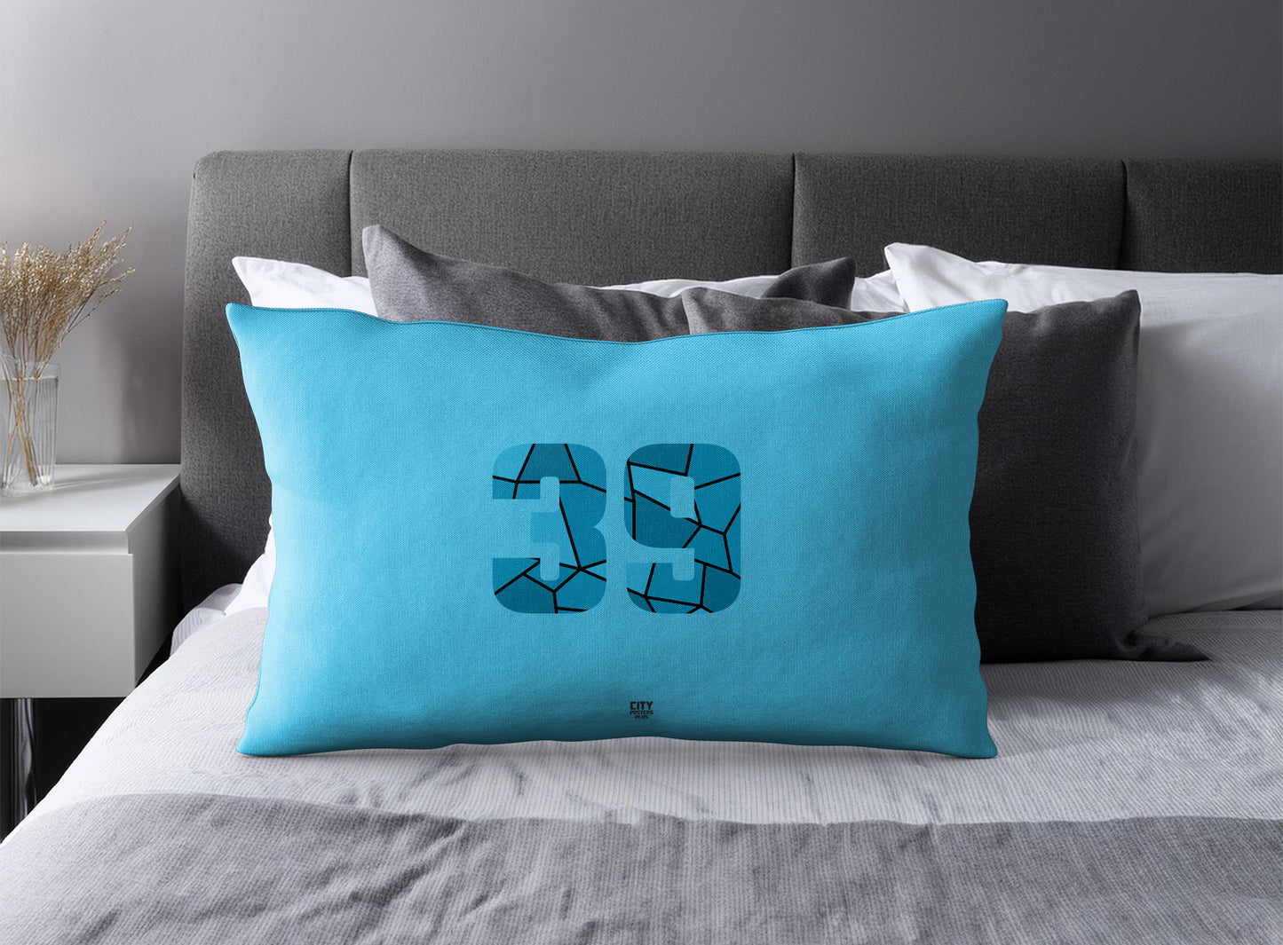 Print Deliver Plus 39 Number Pillow Case and Pillow Throw (Sky Blue)