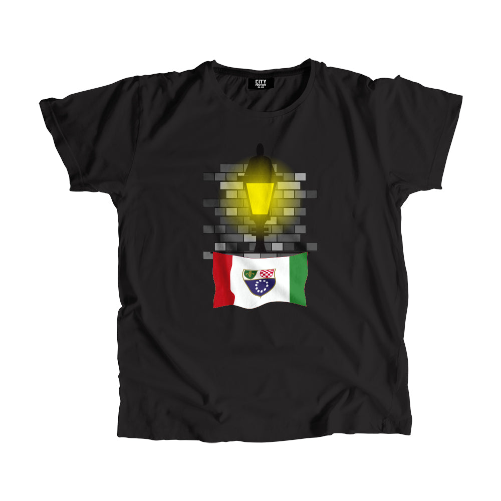 Bosnia and Herzegovina Federation of Street Lamp Bricks Men Unisex T-Shirt
