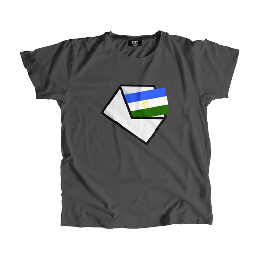 Bashkortostan Flag Mail Men Women Unisex T-Shirt