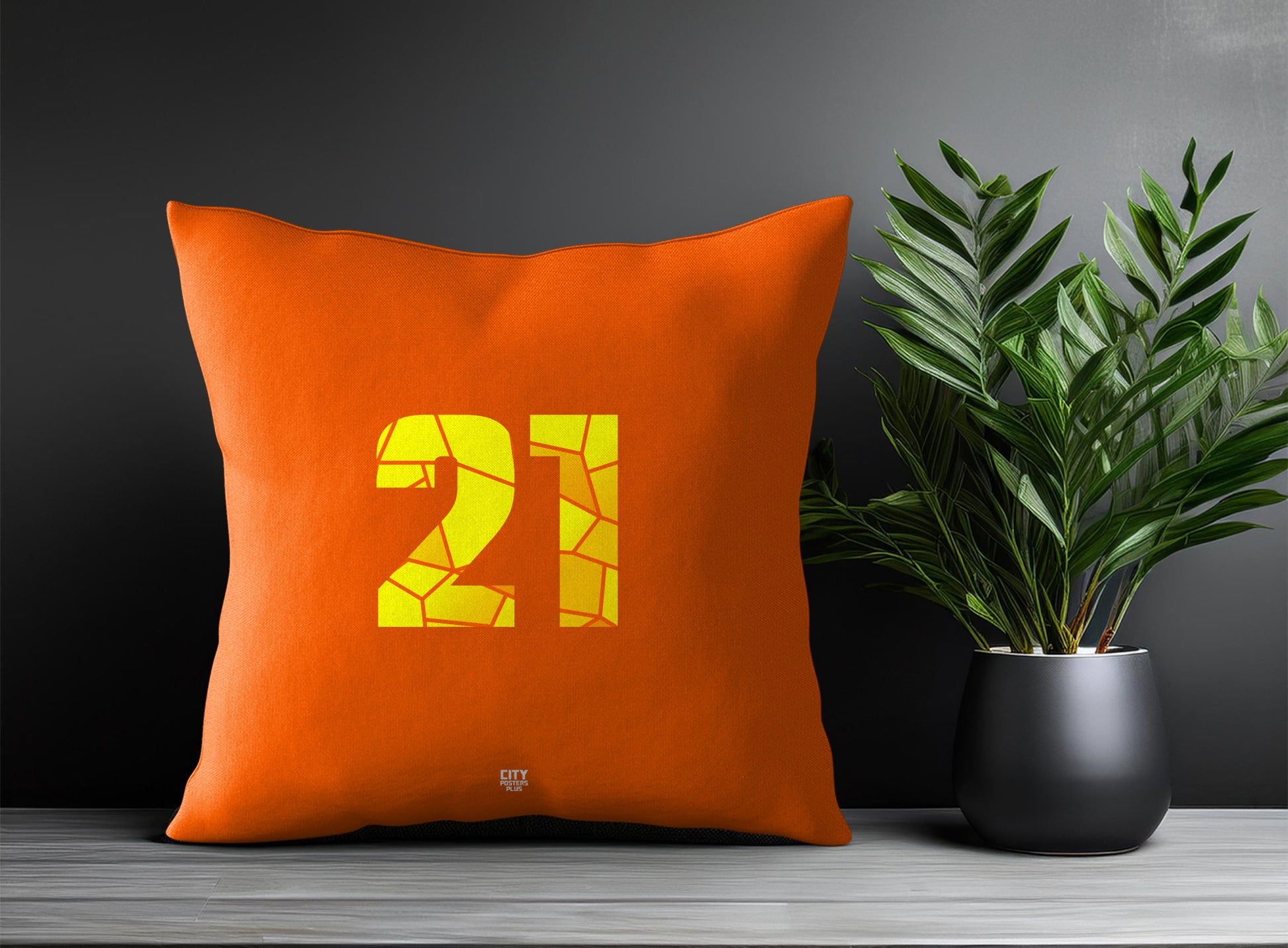 21 Number Pillow Case and Pillow Throw (Orange)