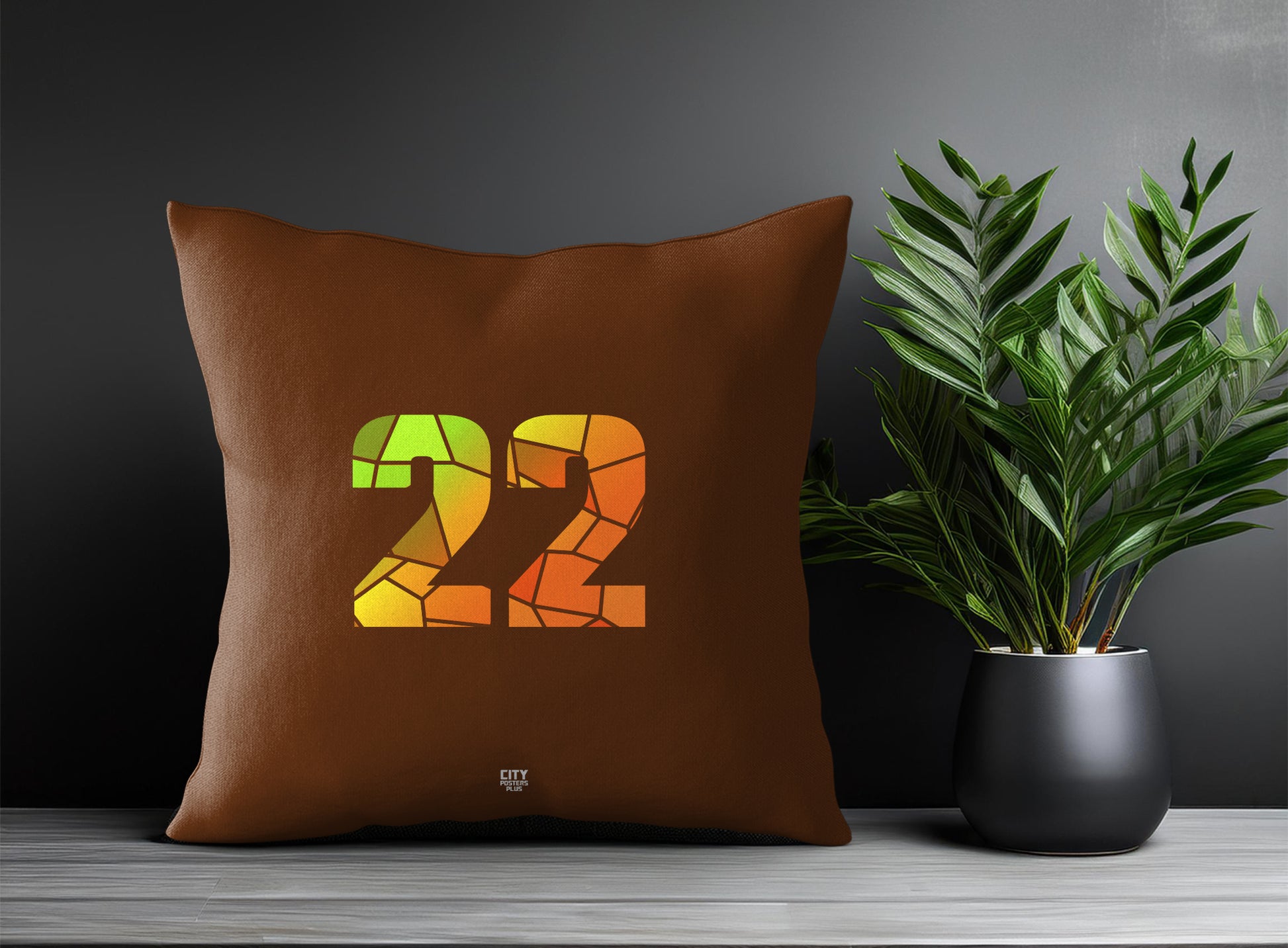 22 Number Pillow Case (Brown)