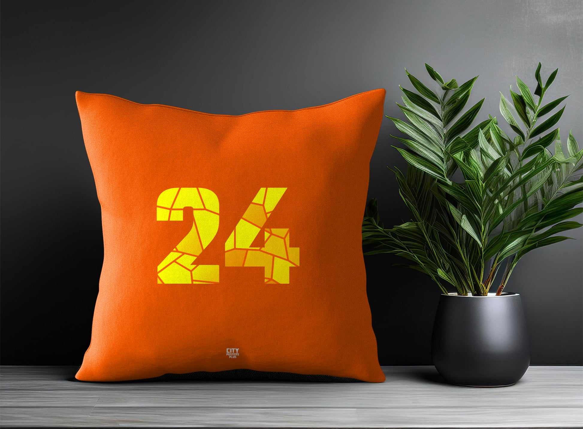 24 Number Pillow Case and Pillow Throw (Orange)
