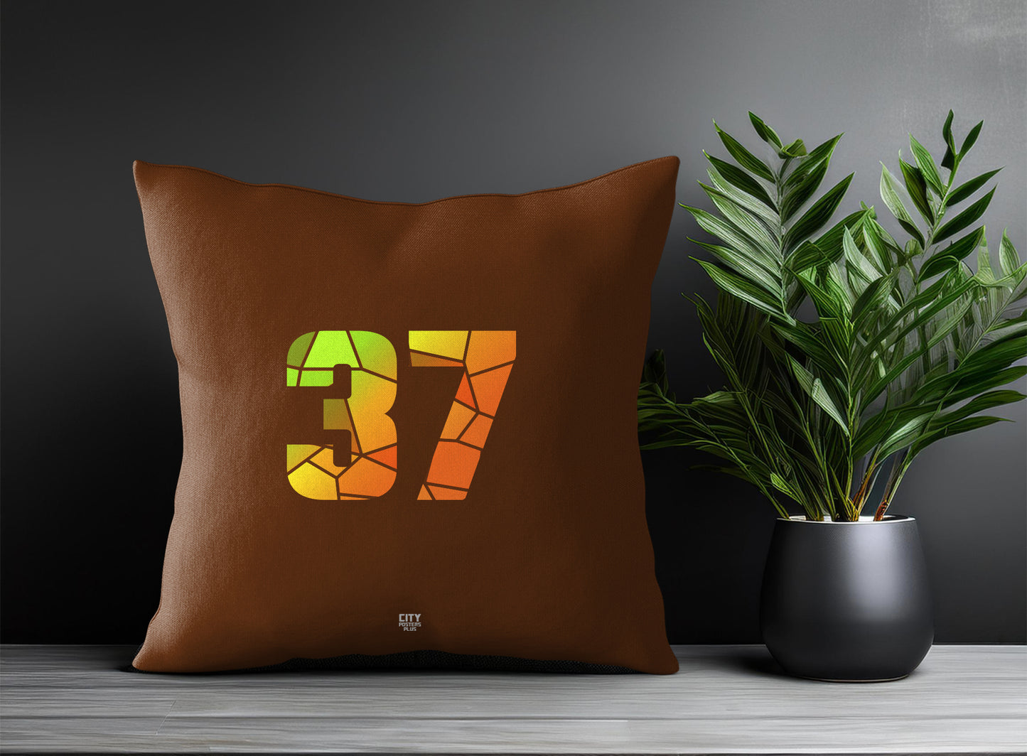 37 Number Pillow Case (Brown)