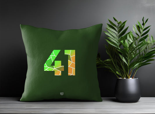 41 Number Pillow Case (Olive Green)