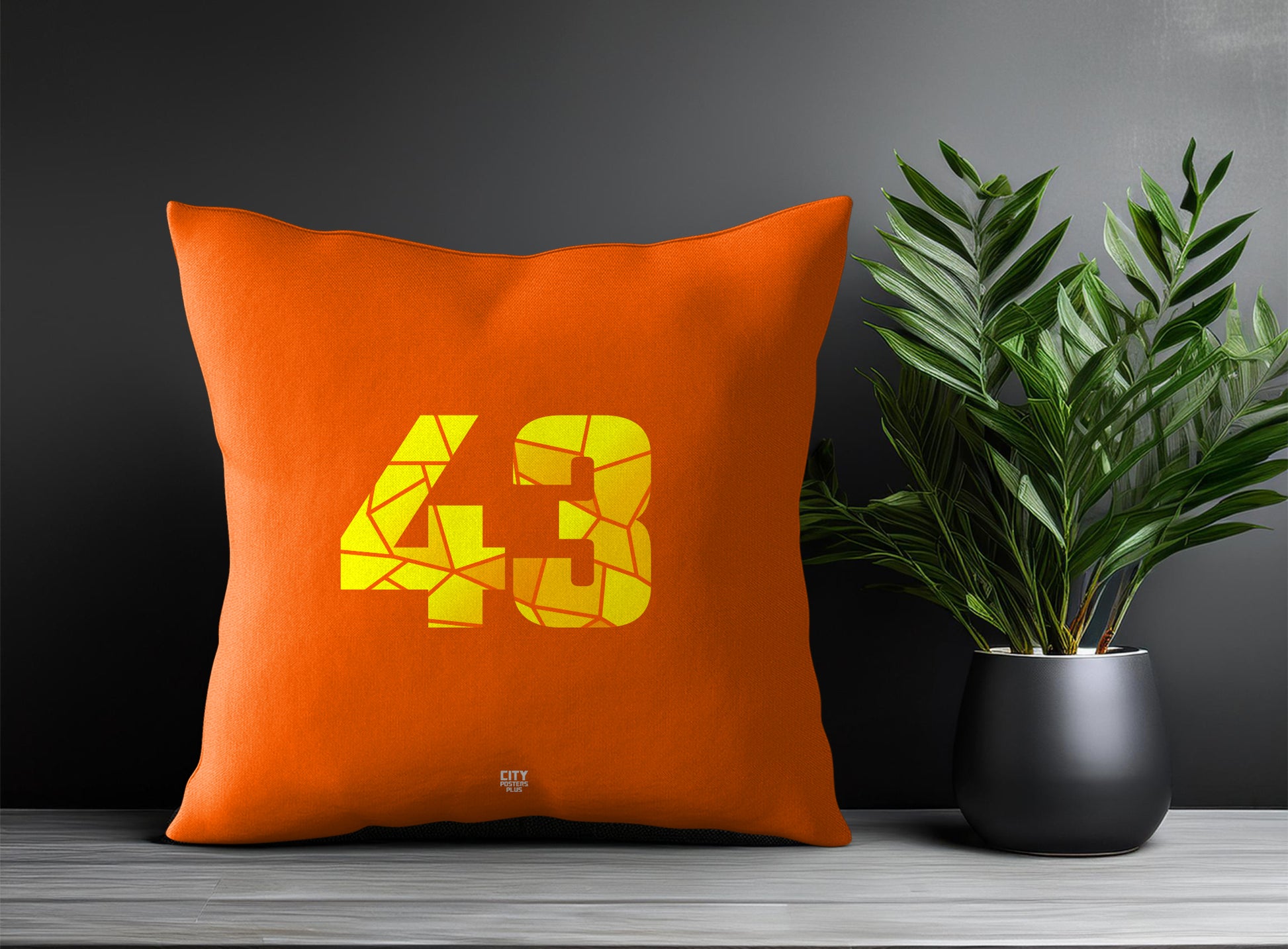 43 Number Pillow Case (Orange)