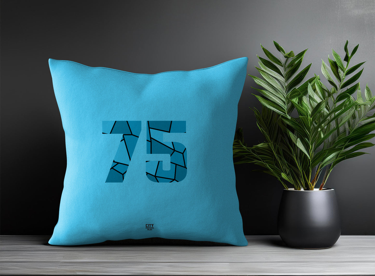 75 Number Pillow Case (Sky Blue)