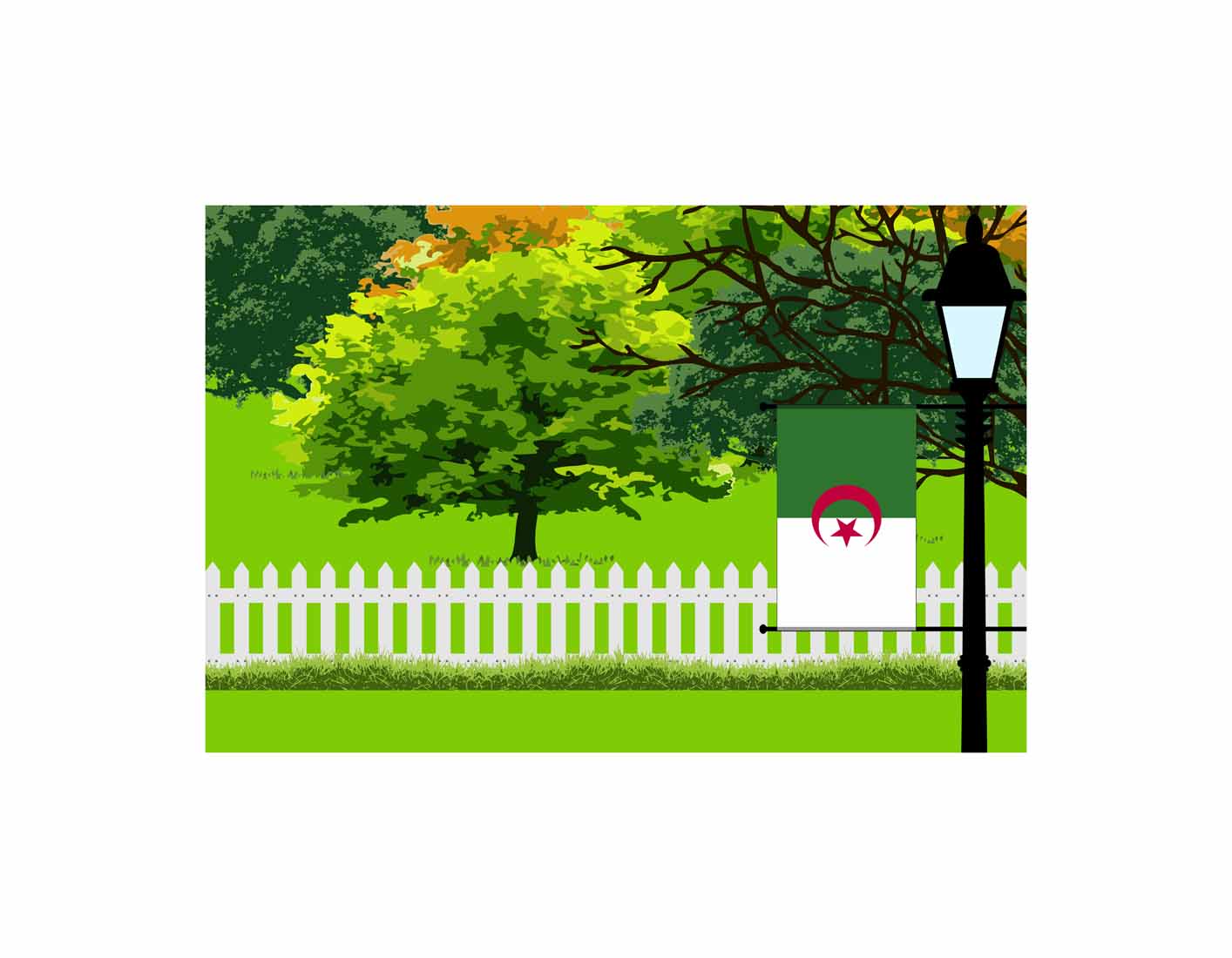 Algeria Trees Street Lamp Canvas Print Framed