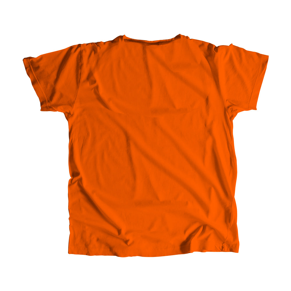 2034 Year Men Women Unisex T-Shirt (Orange)