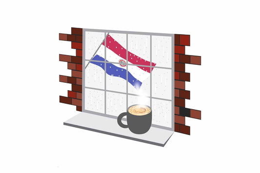 Paraguay Coffee Rain Window Fridge Magnet