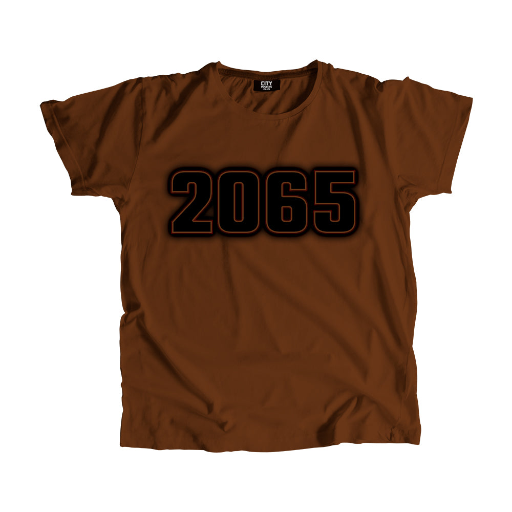 2065 Year Men Women Unisex T-Shirt (Brown)