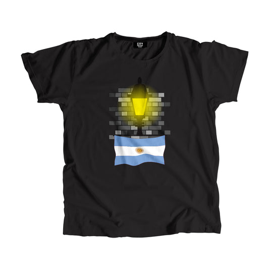 Argentina Flag Street Lamp Bricks Unisex T-Shirt