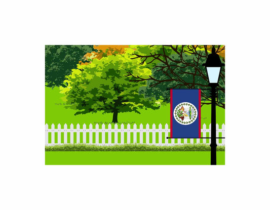 Belize Flags Trees Street Lamp Canvas Print Framed