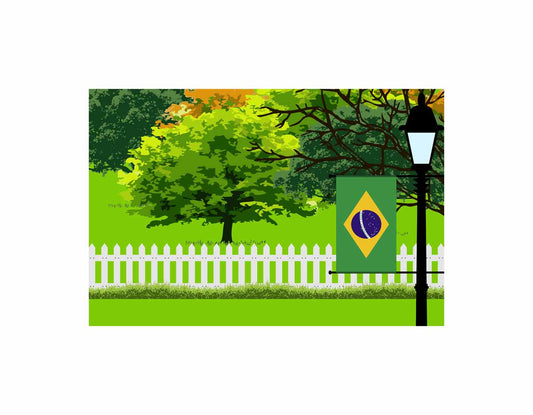 Brazil Flags Trees Street Lamp Canvas Print Framed