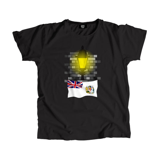 British Antarctic Territory Flag Street Lamp Bricks Unisex T-Shirt