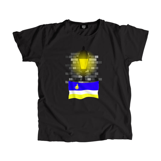 Buryatia Flag Street Lamp Bricks Unisex T-Shirt