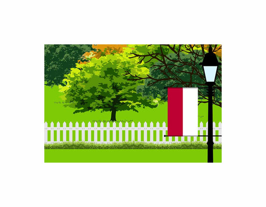 Indonesia Flags Trees Street Lamp Canvas Print Framed