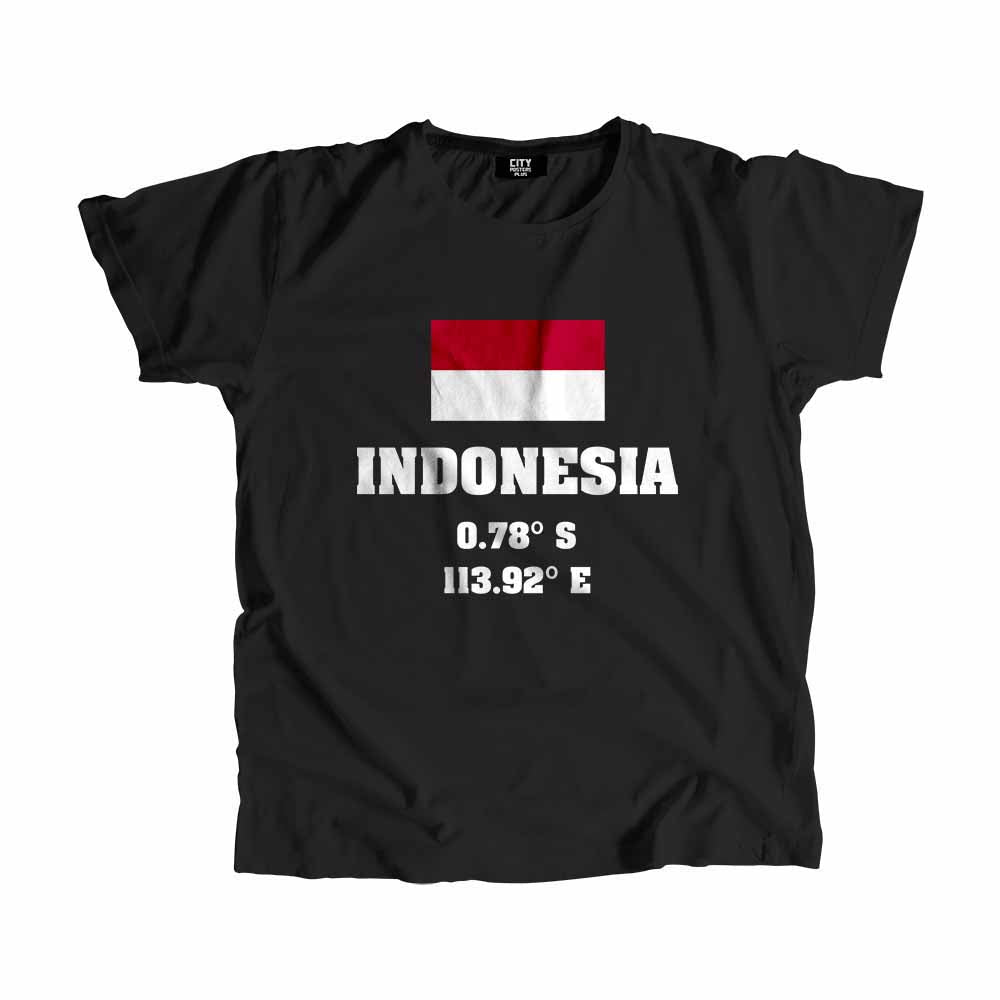 Indonesia Flag T-Shirt