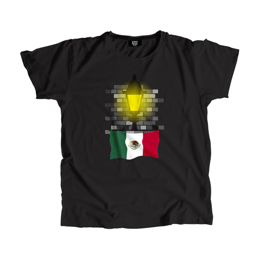 Mexico Flag Street Lamp Bricks Unisex T-Shirt