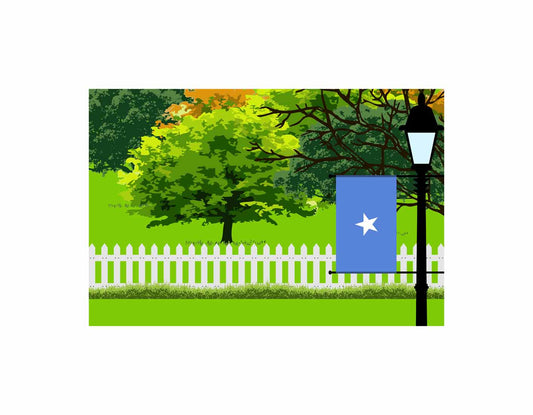 Somalia Flags Trees Street Lamp Canvas Print Framed